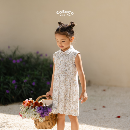 Hailey Dress in Papillon