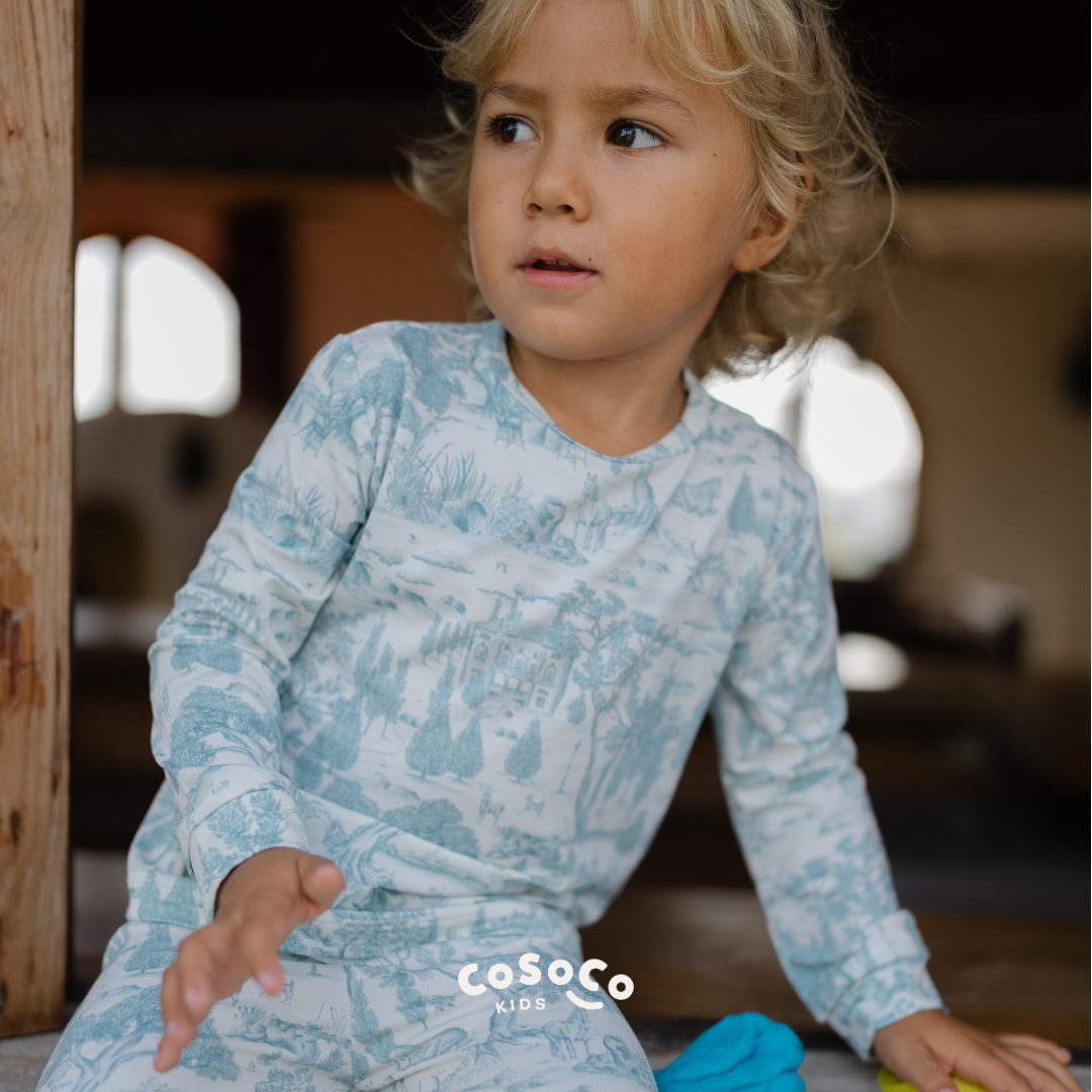 Estate Blue Toddler Pajamas