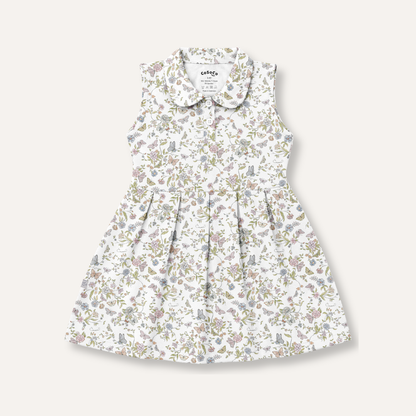 Hailey Dress in Papillon