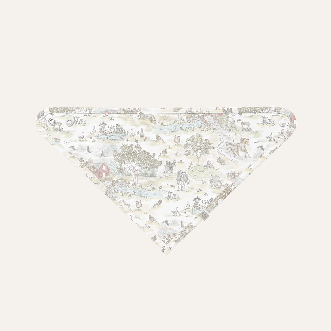 Triangular Bib