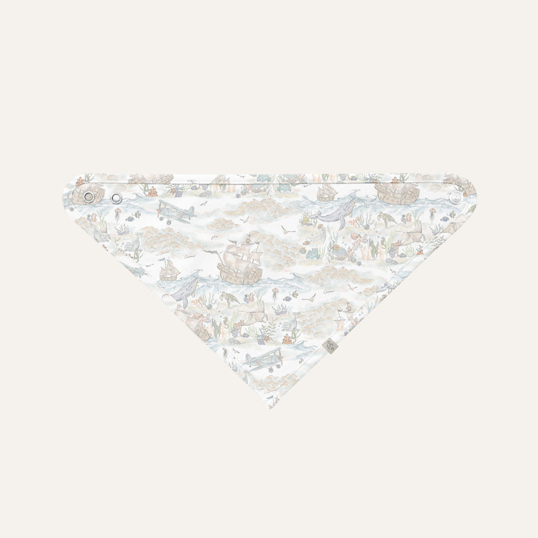 Triangular Bib